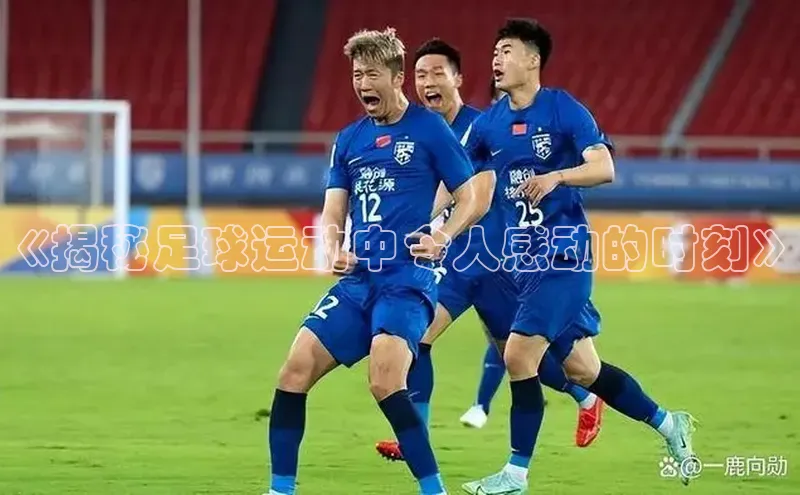 中欧体育app最新版本更新内容美团《揭秘足球运动中令人感动的时刻》