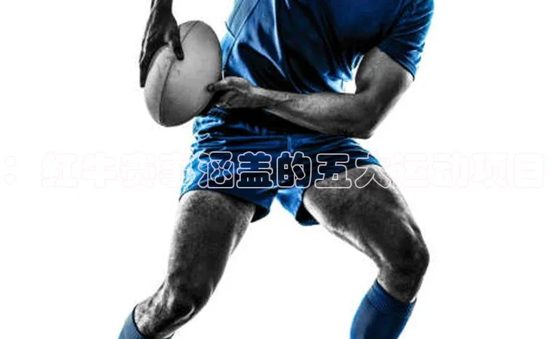 中欧体育(zoty)·中国官方网站百度手机输入法：红牛赛事涵盖的五大运动项目