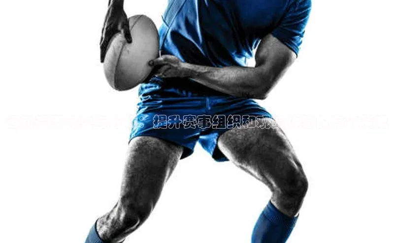 zoty中欧体育ARGA公司运动赛事分类与分析：提升赛事组织和观赏体验的有效策略