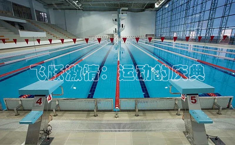 中欧体育app官方网站视觉中国飞跃激情：运动的庆典