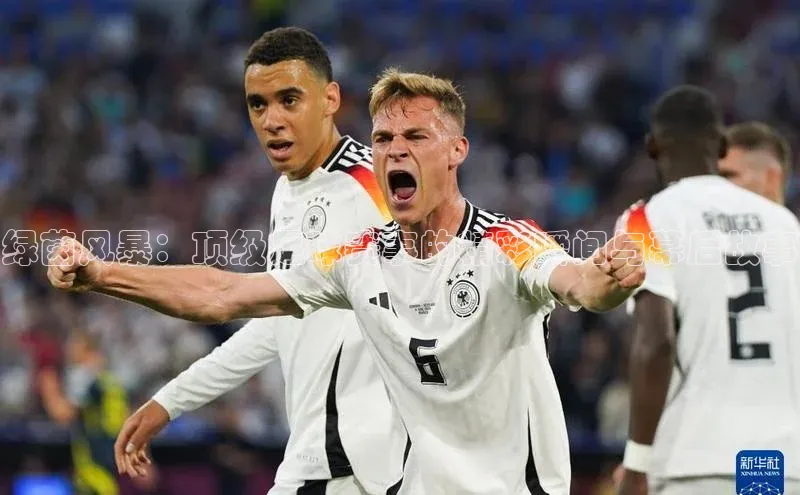 绿茵风暴：顶级足球赛事的精彩瞬间与幕后故事