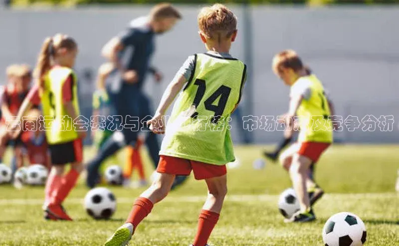 云南运动会赛况与企业排行榜：市场动态及竞争分析