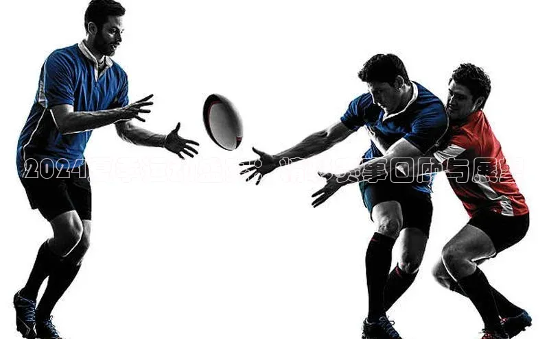 2024夏季运动盛宴：精彩赛事回顾与展望