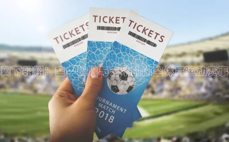 翼下翱翔：空中极限与艺术的航空体育运动赛事