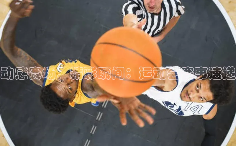 动感赛场，精彩瞬间：运动会赛事速递