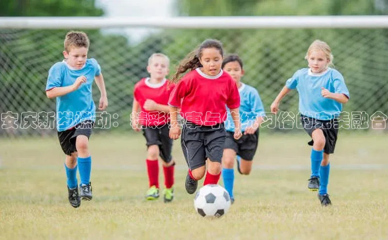 安庆新岁燃动：精彩赛事与传统习俗的完美融合