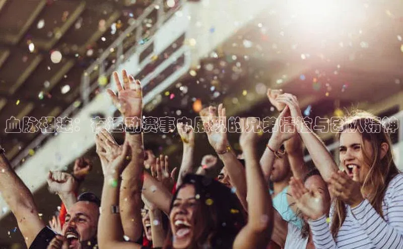 血脉相连：在运动赛事中展现的兄弟情谊与团队精神
