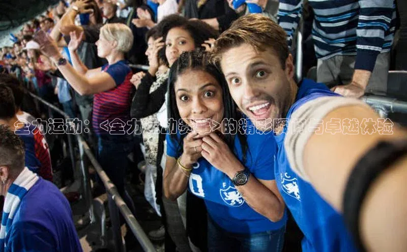 中欧体育网页版入口