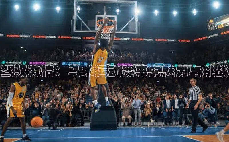 中欧体育网页版入口