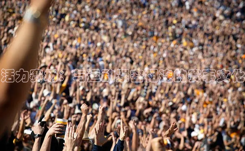 活力赛场：与运动紧密相连的赛事文化