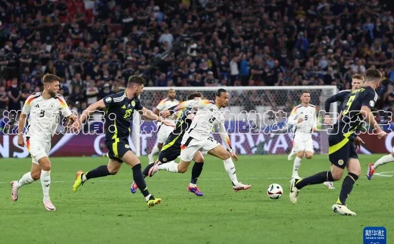 激情燃情：体育运动的魅力与深度